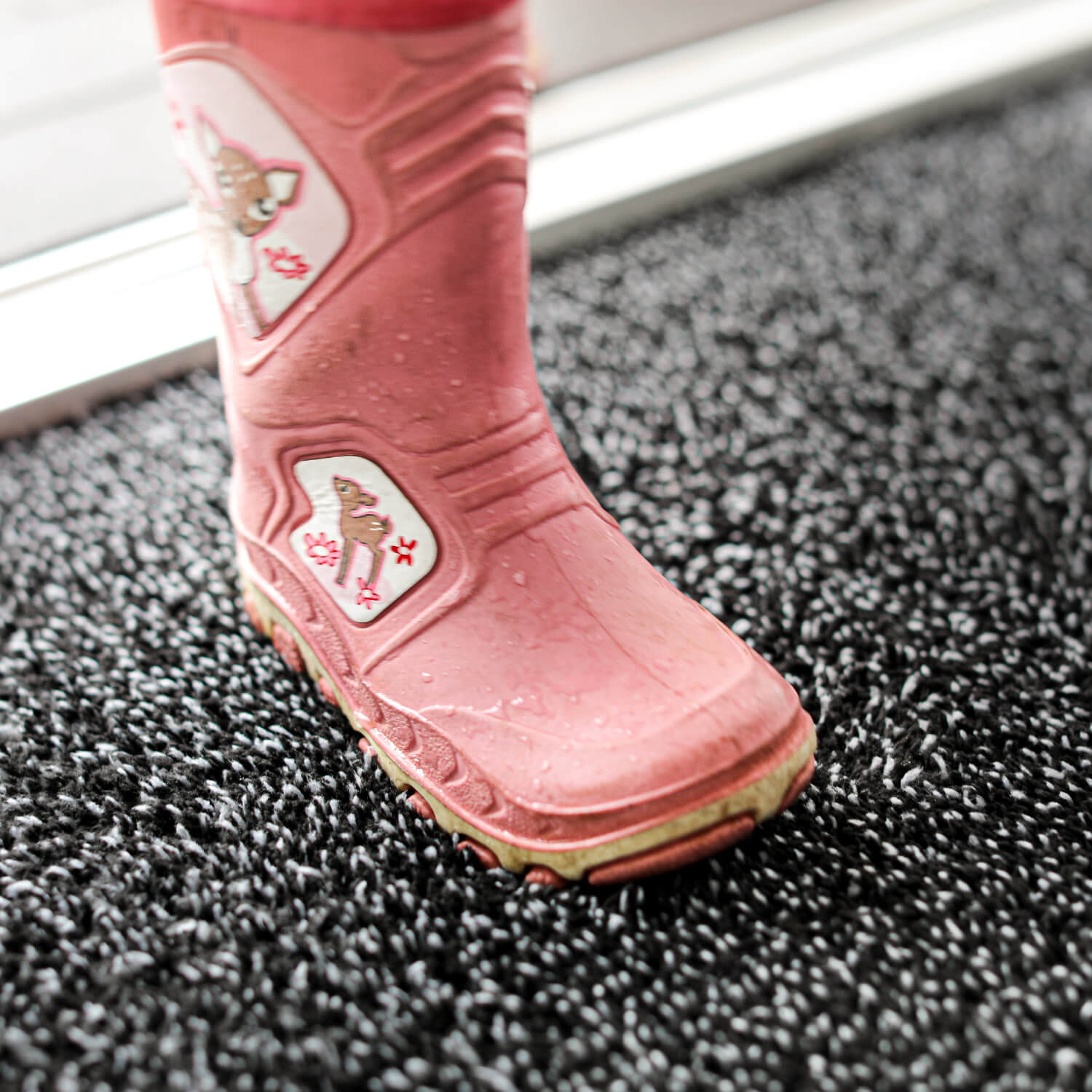 Fußmatte für Zuhause, reinigt auch sehr dreckige Schuhe - Profolio